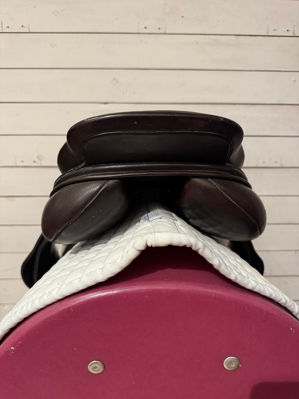 Thumbnail: Albion mono/eventing 17”/M