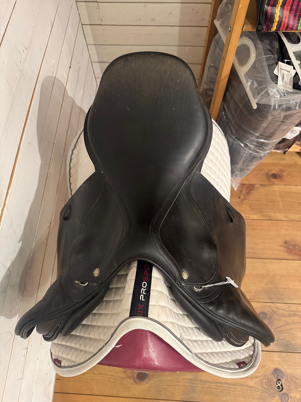 Thumbnail: Amerigo 17,5"/M