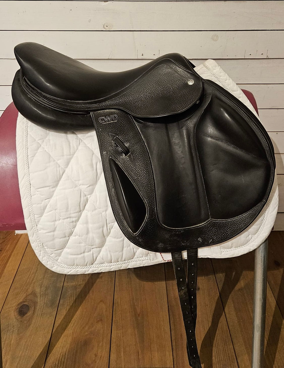 Thumbnail: CWD eventing 17,5”/M