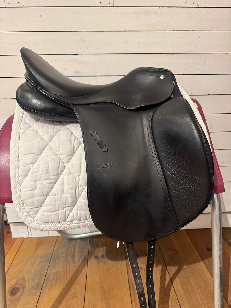 Thumbnail: Passier Comfort 17,5”/M