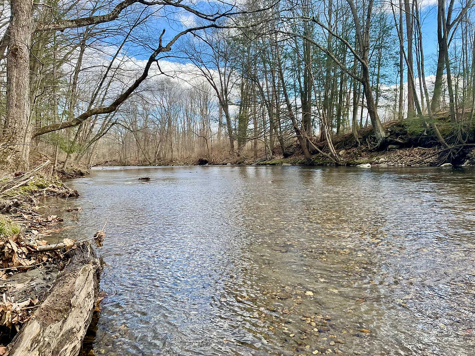 Mill River Water Walk
