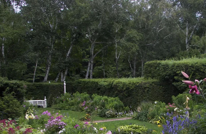 Saint Gaudens Art in the Park Festival