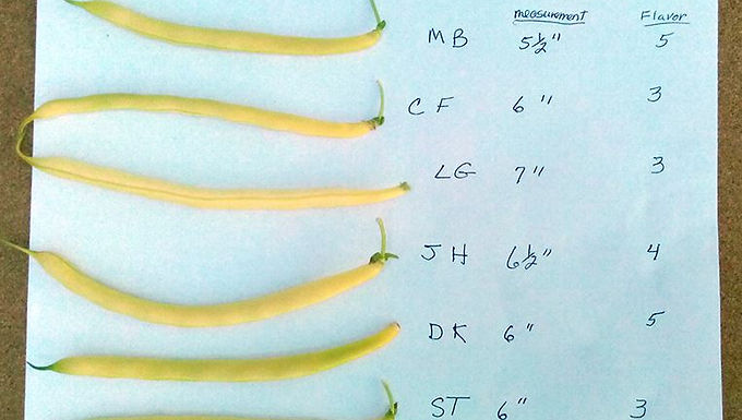 How to Choose the Best Plants –
Master Gardeners Can Help