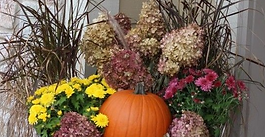 Autumn Abundance: Fall Porch Pots