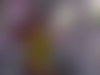 Un sogno chiamato Florida (2017)