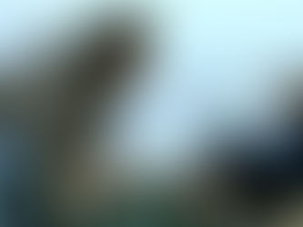 Welcome (2009) di Philippe Lioret