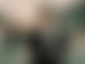 Il braccio violento della legge (1971)