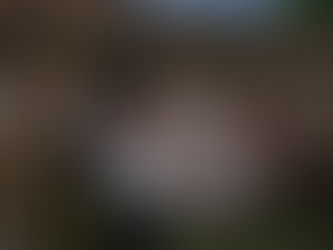 The Birth of a Nation - Il risveglio di un popolo (2016)