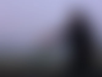 Ghost Dog - Il codice del samurai (1999) di Jim Jarmusch