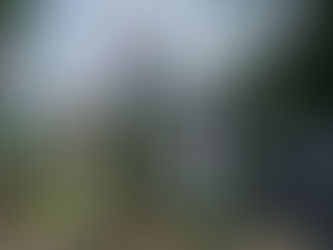 Il giardino dei Finzi Contini  Italia, Germania 1970 dramma 1h34’    Regia: Vittorio De Sica