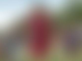 Il viaggio di Fanny (2016)