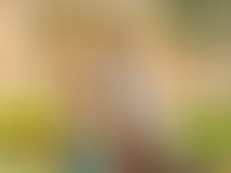 La nostra storia (2020)