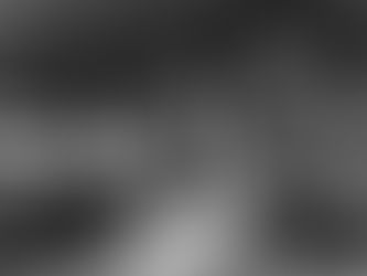 Un posto al sole (1951)