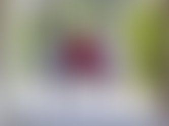 Una famiglia vincente - King Richard (2021)