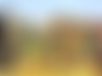 L’armata Brancaleone (1966) di Mario Monicelli