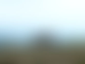 Io, lui, lei e l'asino (2020)