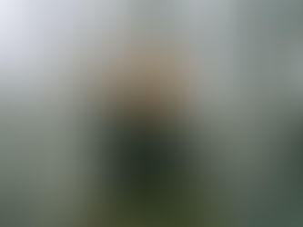 The Village (2004) di M. Night Shyamalan