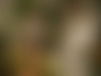 Un matrimonio all'inglese (2008) di Stephan Elliott