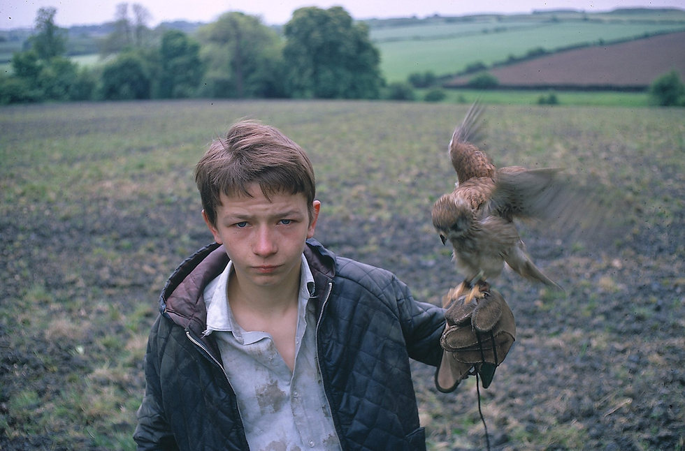 Kes (1969) di Ken Loach