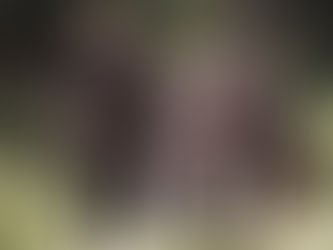 Una gita scolastica (1983)