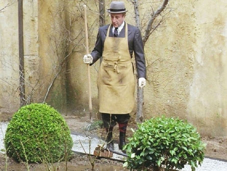 Oltre il giardino (1979)