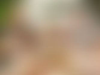 Speak No Evil - Non parlare con gli sconosciuti  (Speak No Evil) USA, Croazia, Canada 2024 horror 1h50’     Regia: James Watkins