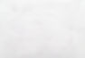 Brantford-Optometry-Header.jpg