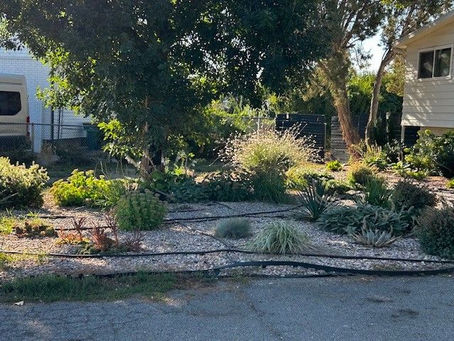 Flipping Your Grass: The Final Result