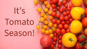 🌱 Planting Guide for Popular Tomato Varieties! 🍅