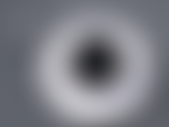 Chapter Forty-Four: Payment for the Five