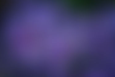 Asters & Arsenic: A Patrice Summers Mystery Chapter One: I Wasn't Always a Green Thumb