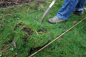 Flipping Your Lawn Part Two