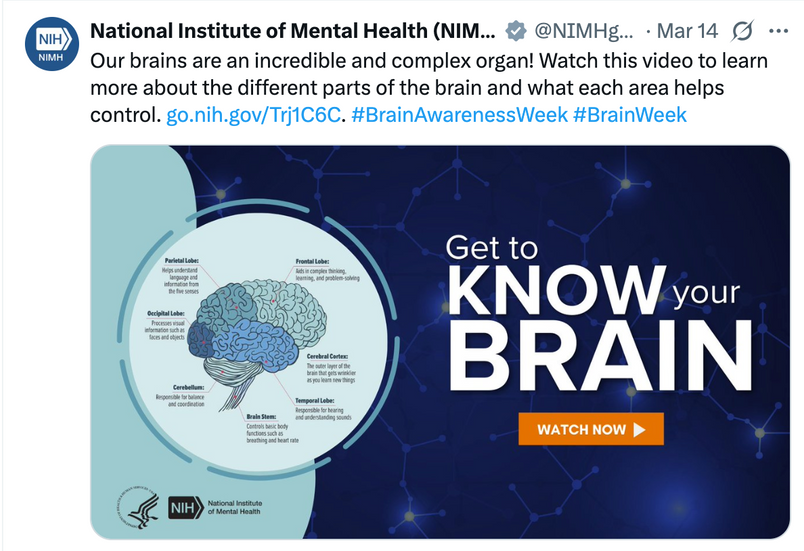 X post on the different parts of the brain. 