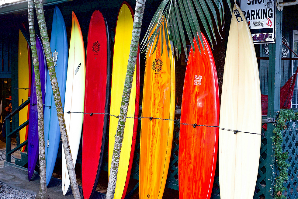 OAHU Tax Planning Experts for Businesses & Retail Tax Preparation Experts for Small Businesses - General Excise Tax Filing - 808-468-8041 with Diamond Head Tax Group OAHU Tax Advisory Services. Diamond Head Tax Group is Honolulu's trusted source of tax filing services serving Waianae, Honolulu, Kapolei, Oahu and surrounding areas. Diamond Head Tax Group in Honolulu, Oahu. Call: 808-468-8041