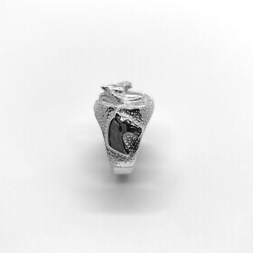 Thumbnail: Horse Shoe Silver