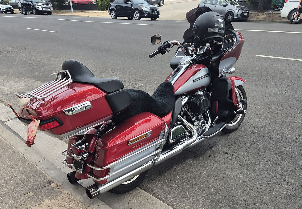 Tim #270 Harley Davidson Road Glide Ultra 3.jpg