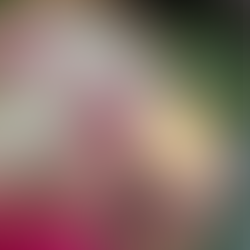 How 15 Minutes of Gratitude Practice Can Have a Profound Impact on Your Life