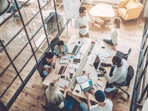 diverse team of people in collaborative working session