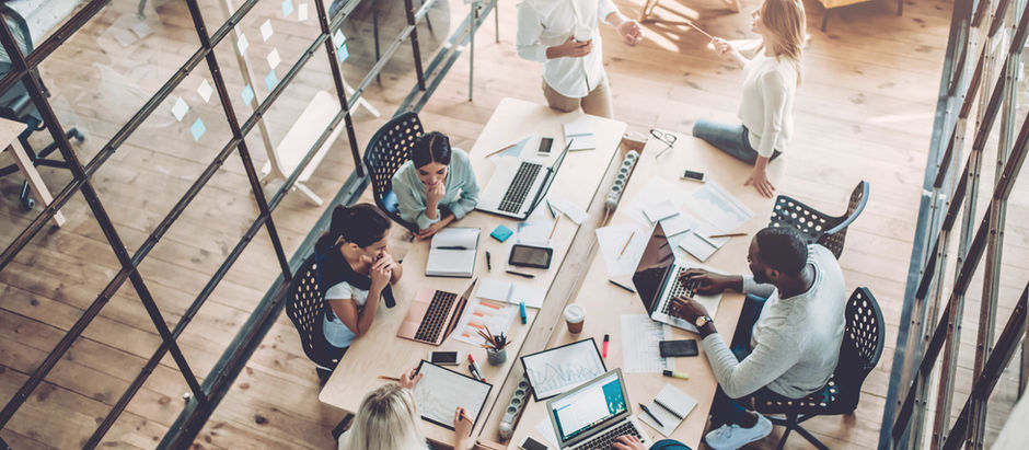 2º Como Colocar a Sustentabilidade Empresarial em Prática?