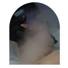 Untitled design-20_edited.png