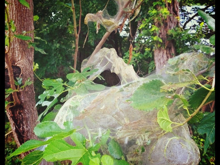 Discover the World's Secrets Through Summer Bummer's Lens