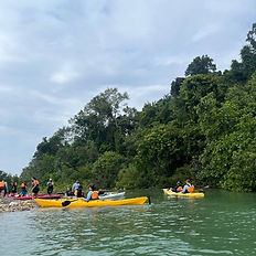 Discover hidden coves, exotic marine life