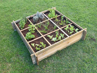 Como hacer un huerto en casa 🌱