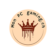 Mon PC gaming.ch.pdf.png