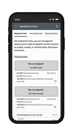 net wins alternative 2.png