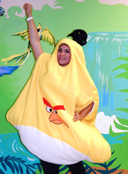 Энгри Бердз