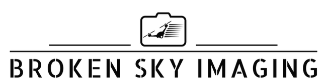 BSI Center Logo_edited_edited.png
