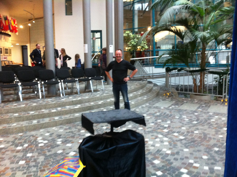 Schmittini Eumetsat 2013