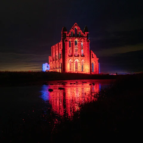 illuminated-22-480x480.webp