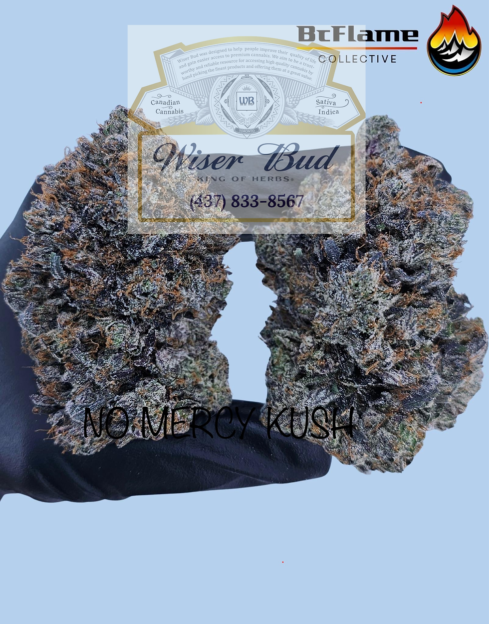 NO MERCY KUSH AAAA+ (Indica dom Hybrid) - BC FLAMES COLLECTIVE